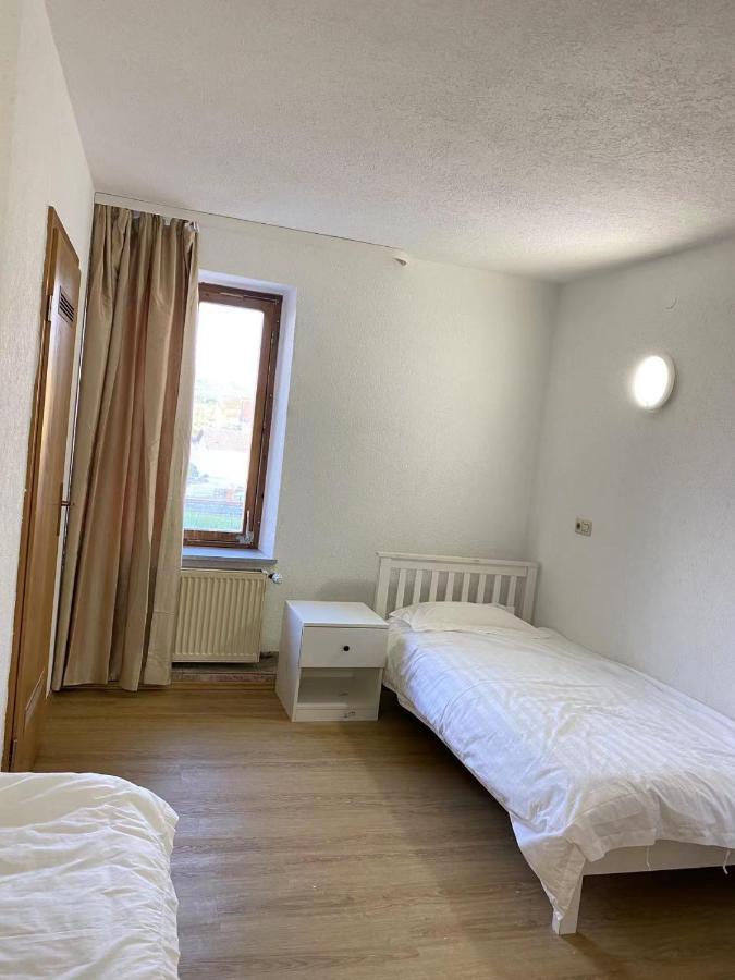 מלון Erzingen Panda Royal Klettgau מראה חיצוני תמונה